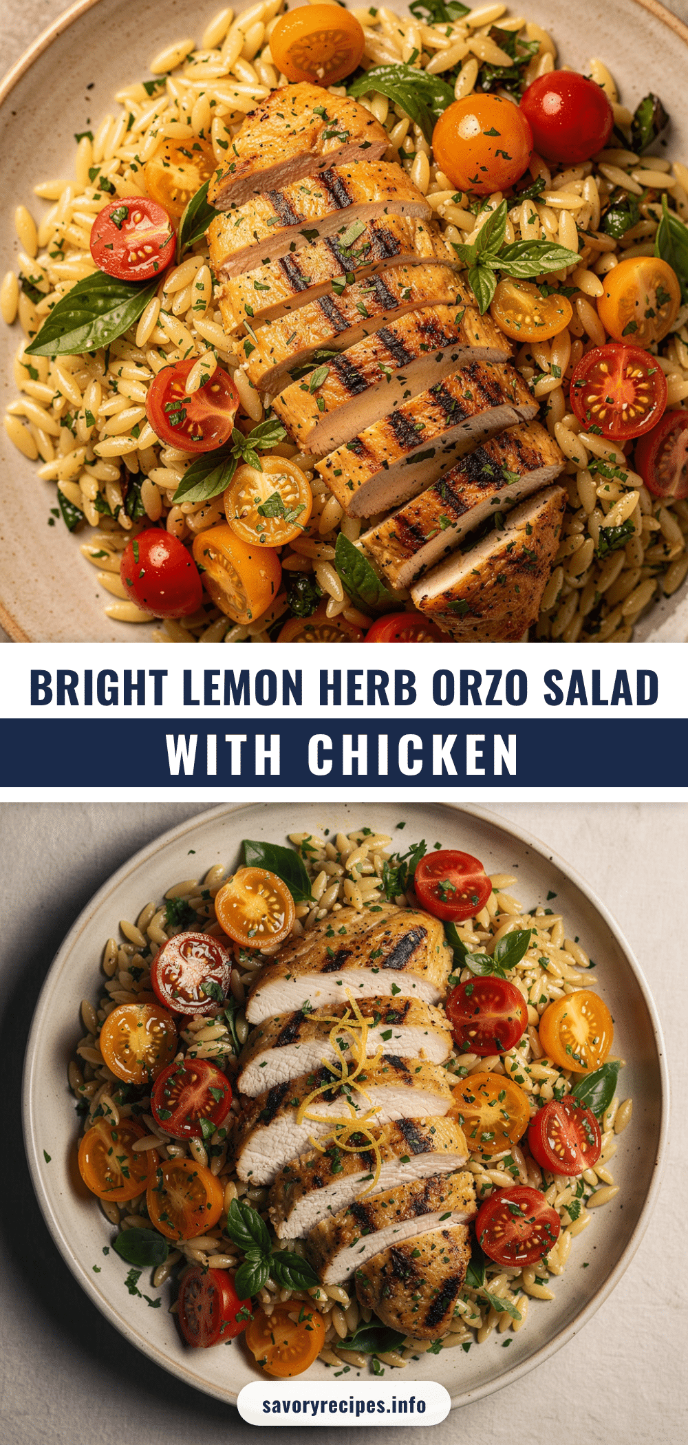 fresh lemon herb orzo salad recipe