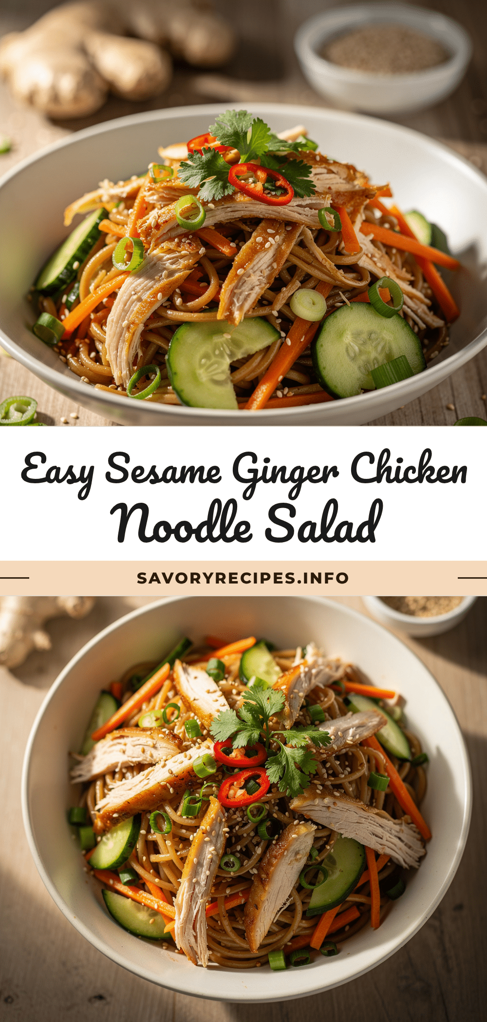 Sesame Ginger Cold Noodle Salad recipe