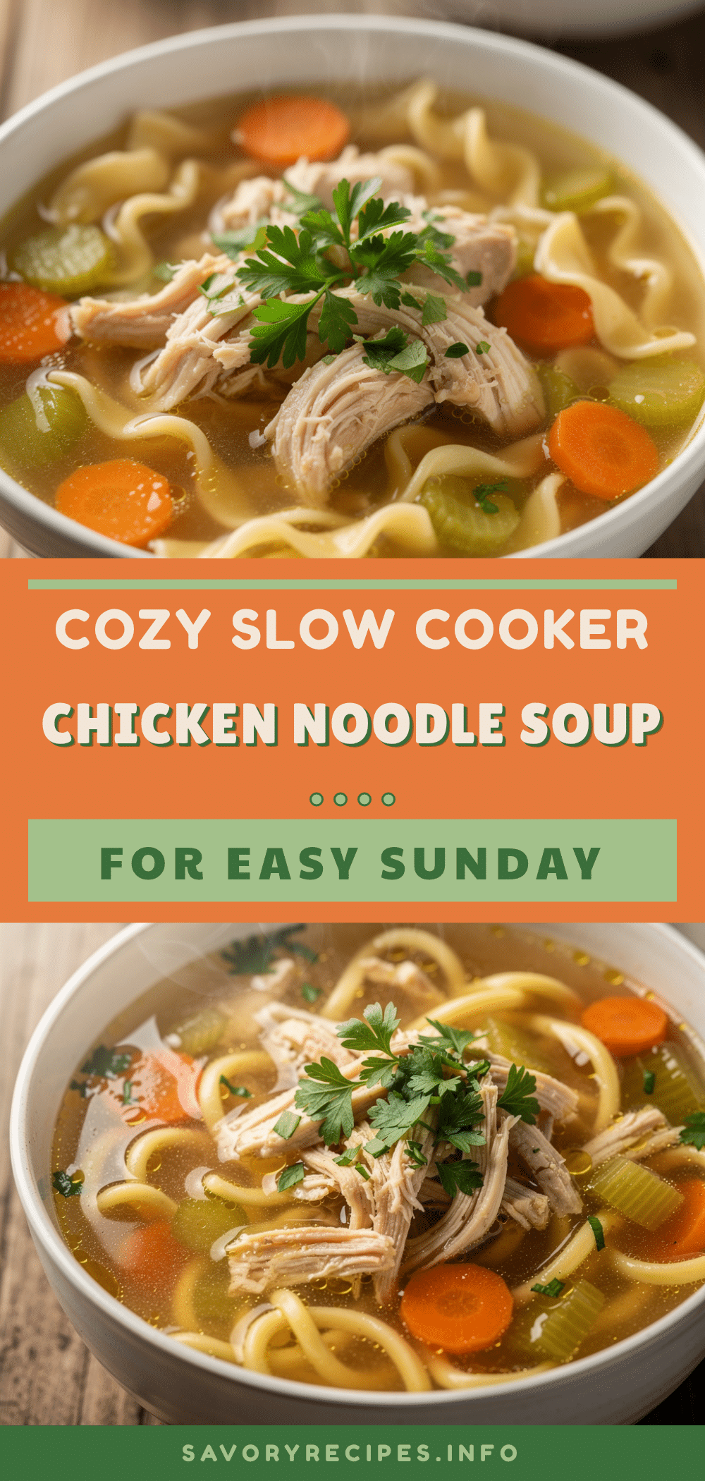 slow cooker chicken noodle soup recipe